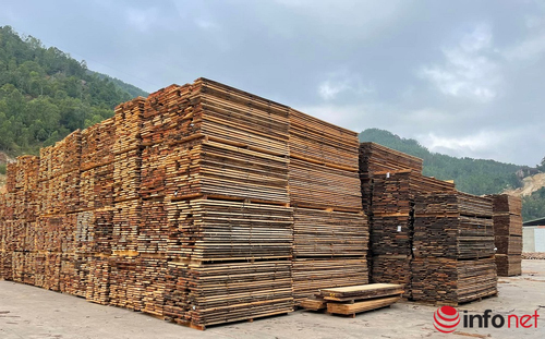 Xuất khẩu gỗ sang Anh trước yêu cầu nghiêm ngặt về nguồn gốc xuất xứ