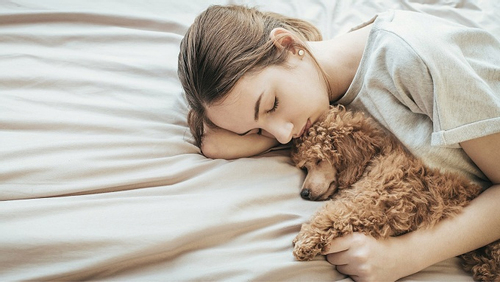 Lợi và hại khi ngủ cùng thú cưng