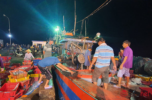 Kiểm soát tàu cá, triển khai nhiều giải pháp chống khai thác IUU tại Thừa Thiên – Huế