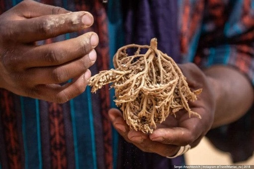 Biện pháp tránh thai kỳ lạ ở sa mạc Sahara