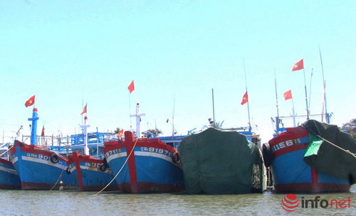 Quảng Nam có 660 tàu cá vùng khơi lắp đặt thiết bị giám sát hành trình