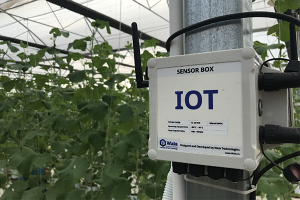 Nền tảng IoT cho nông nghiệp cảnh báo khi có thay đổi trong canh tác