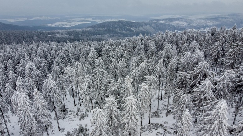 Sương giá nghiêm trọng ở châu Âu khiến giá khí đốt tăng vọt