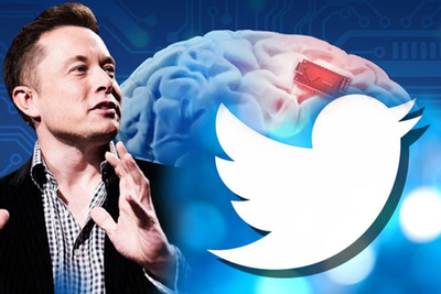 Elon Musk sắp cấy chip vào não người, EU cảnh báo Twitter