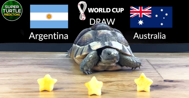 Dự đoán bóng đá World Cup 2022 trận Argentina vs Australia với 'tiên tri thần rùa'