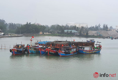 Quảng Trị cấp giấy chứng nhận đăng ký tàu cá cho 194 tàu trong năm 2022