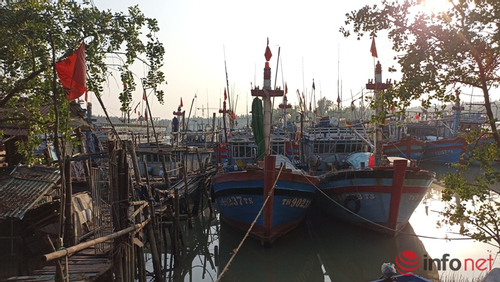 Ngư dân Thanh Hóa khai thác trên Vịnh Bắc Bộ tuân thủ quy định ngư trường