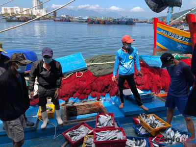 Năm 2022, đội tàu cá ở Đà Nẵng khai thác đạt trên 33.000 tấn tổng sản lượng