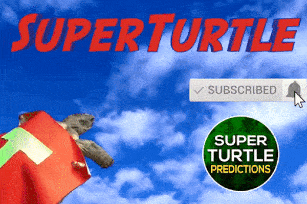 Dự đoán bóng đá World Cup 2022 trận Nhật Bản vs Croatia với 'tiên tri thần rùa'