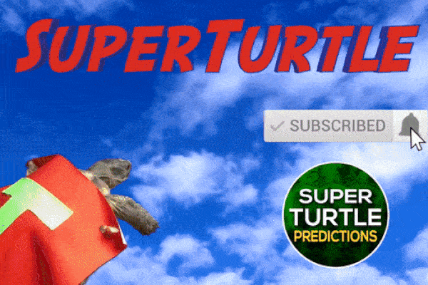 Dự đoán bóng đá World Cup 2022 trận Maroc vs Tây Ban Nha với 'tiên tri thần rùa'