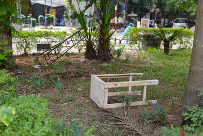 Hà Nội: Vườn hoa đầu tư 52 tỷ đồng xuống cấp, thành nơi bỏ rác