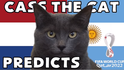 Dự đoán bóng đá World Cup 2022 trận Hà Lan vs Argentina với mèo 'tiên tri'
