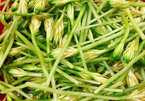 Loại hoa nghe tên cay xè mỗi năm chỉ có 1 lần được chế biến nhiều món ăn lạ miệng, thành hàng hot trên thị trường