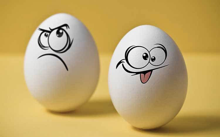 câu đố hay hài hước