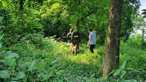 Cảnh sát huy động chó nghiệp vụ tìm kiếm Lương Hải Như
