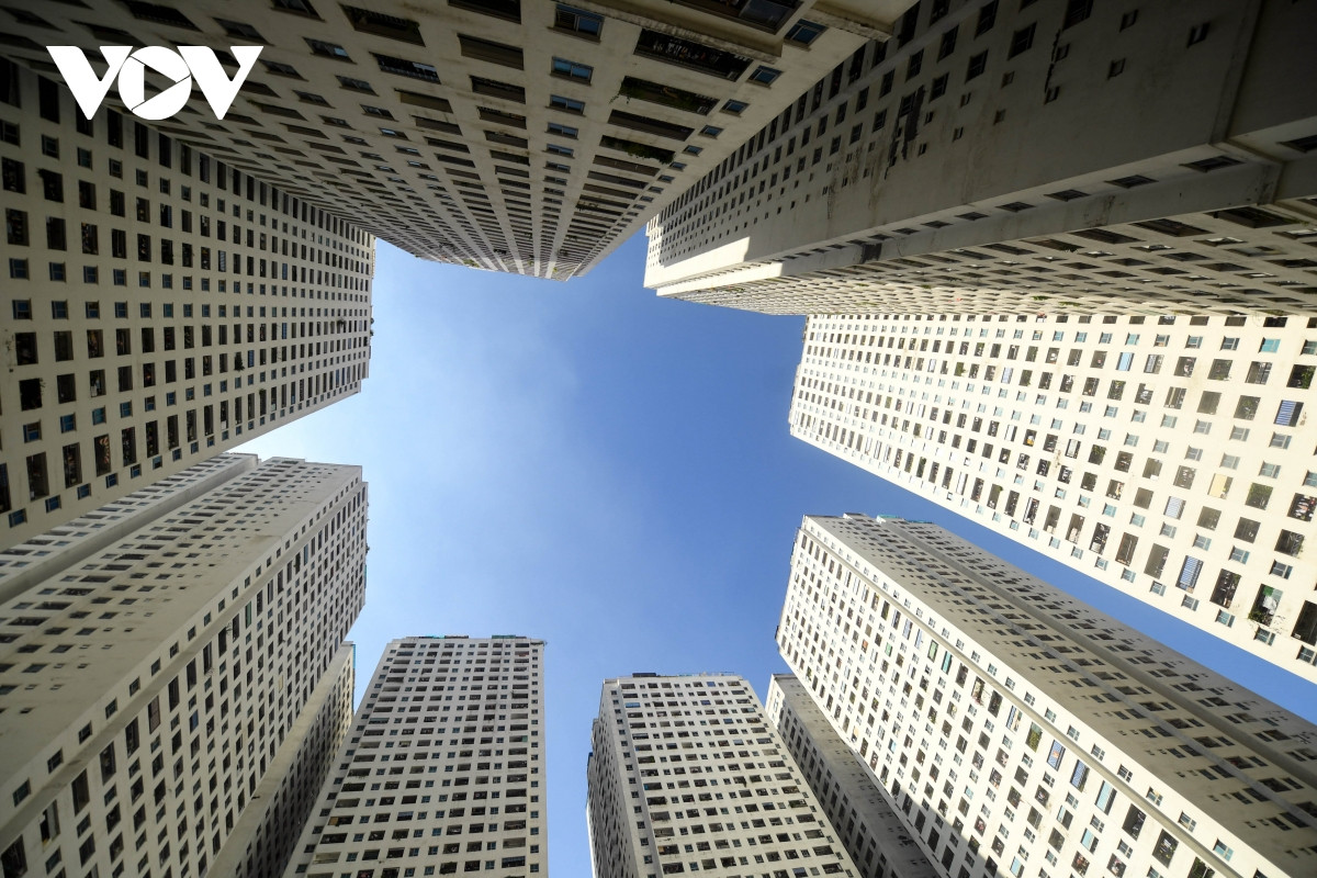 bo khung gia dat co khien gia nha, dat tang hinh anh 2