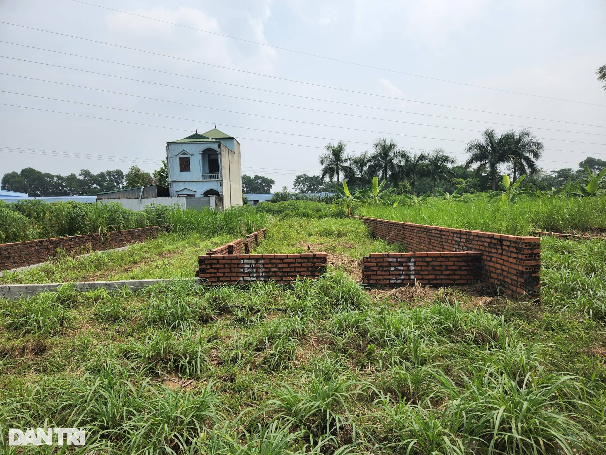 Ham giàu nhanh, nhà đầu tư tay ngang ôm đất như ôm bom - 1