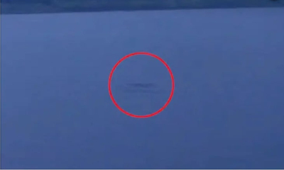 Hé lộ hình ảnh nghi quái vật hồ Loch Ness xuất hiện ở Scotland