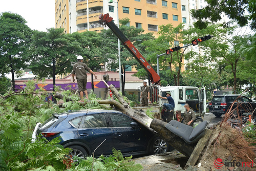 Hà Nội: Cây xanh bật gốc, đè bẹp nhiều ô tô đỗ vỉa hè trong cơn mưa chiều nay