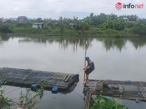 Ứng phó với bão Noru, hàng nghìn lồng cá trên sông Bồ được chằng thêm dây níu