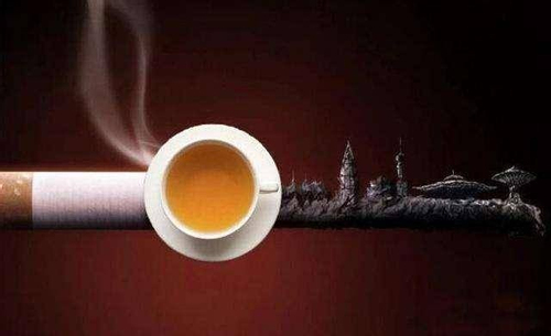 Thực hư tác dụng của trà trong việc giảm tác hại của thuốc lá