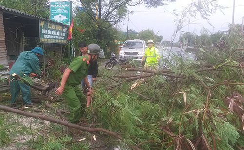 Huế: Cây đổ la liệt sau bão Noru, khẩn trương dọn dẹp, thông các tuyến đường