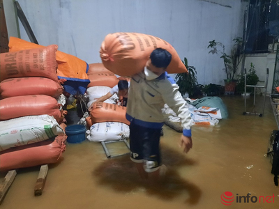 Nghệ An: Mưa lớn, nhiều nơi ngập sâu, huy động trăm người xuyên đêm gia cố đê