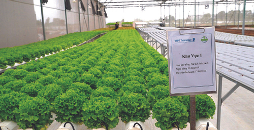 VNPT muốn cùng nhà nông xây dựng nông nghiệp thông minh
