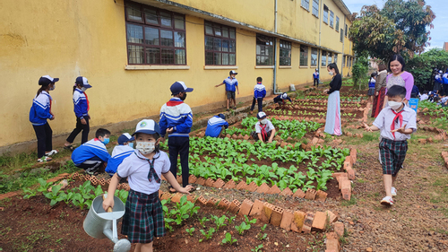 Dạy học sinh biết yêu lao động qua mô hình vườn rau trường học