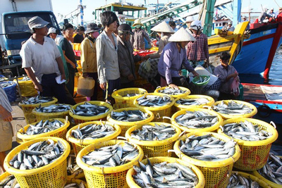 Ninh Thuận kiên quyết chống khai thác hải sản bất hợp pháp