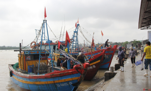 Ngư dân miền Trung vươn khơi bám biển xuyên Tết