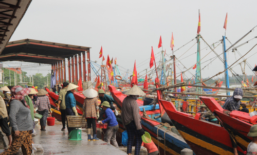 Bất chấp dịch bệnh, giá xăng dầu tăng cao, ngư dân Nghệ An vẫn vươn khơi bám biển