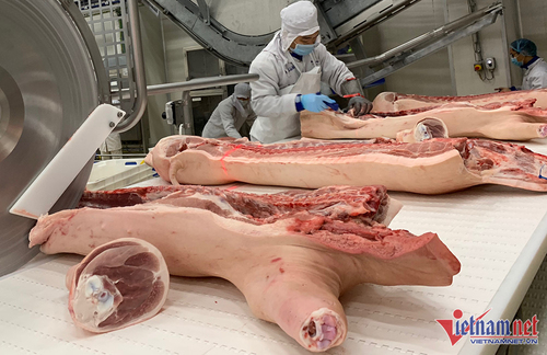 Sức mua yếu, giá lợn hơi giảm về 50.000 đồng/kg