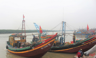 Nghệ An: Duy trì 4 tổ công tác liên ngành kiểm soát nghề cá