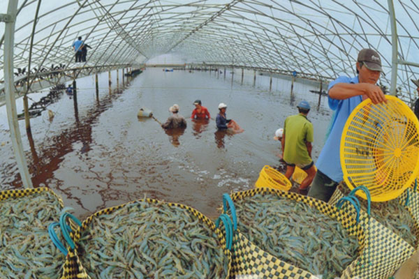 Nghiên cứu xây dựng hệ thống thông tin địa lý nuôi trồng thủy sản quốc gia