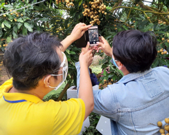 Vietnam Post hỗ trợ nông dân tiếp cận phương thức kinh doanh qua sàn TMĐT