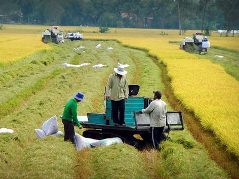 Nhiều địa phương tập huấn, hướng dẫn xây dựng cơ sở dữ liệu sản xuất nông nghiệp