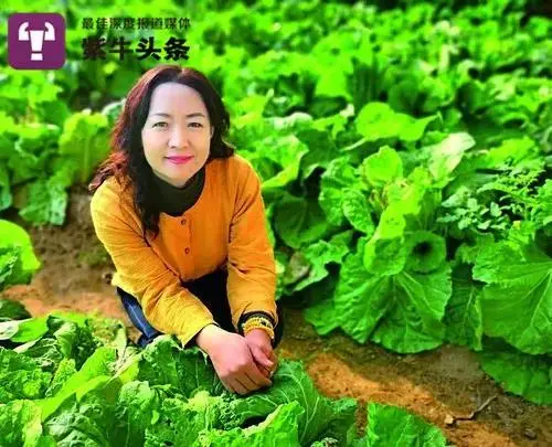 371449649 727505492573308 3503710502973200156 n.png