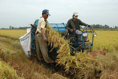 Đại gia thu mua gạo xuất khẩu đình đám một thời bị rao bán món nợ nghìn tỷ