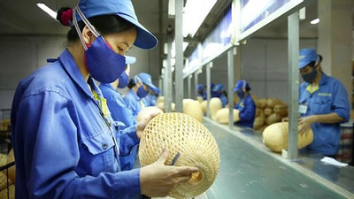 Quỹ Bảo lãnh tín dụng ở đâu khi doanh nghiệp khát vốn?