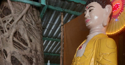 Ngôi chùa ở Quảng Ngãi có cội bồ đề che chở tượng Phật