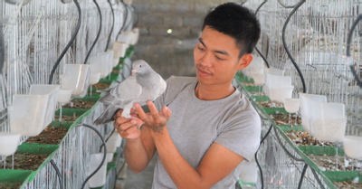 Khởi nghiệp với 35 triệu đi vay, 9X đang thu về nửa tỷ/năm