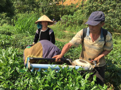 Phát huy tinh thần tự lực tự cường, người dân Sùng Phài vươn lên thoát nghèo