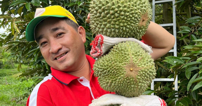 Không phải Musang King, đây mới là loại sầu riêng đắt nhất ở miền Tây