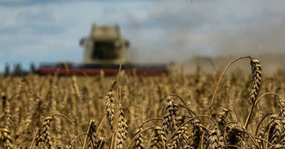 EU cho phép các nước thành viên kéo dài lệnh 'cấm cửa' ngũ cốc Ukraine