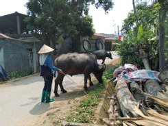 Lạng Giang (Bắc Giang): Giảm nghèo bền vững, không ai bị bỏ lại phía sau