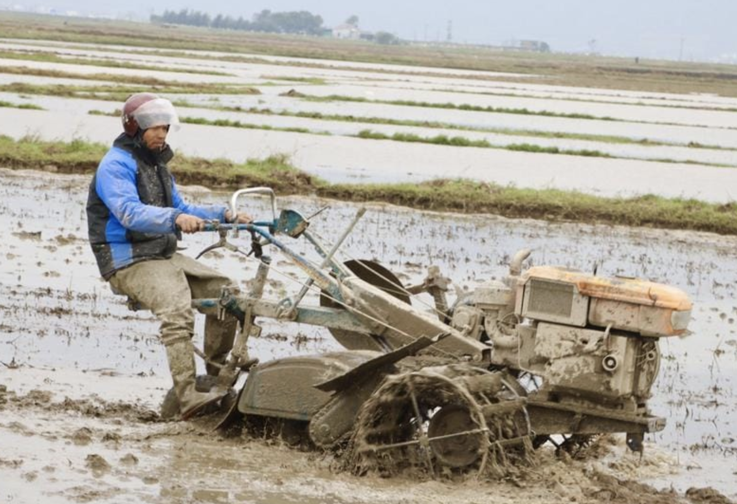 anh chup man hinh 2024 01 10 luc 213131.png