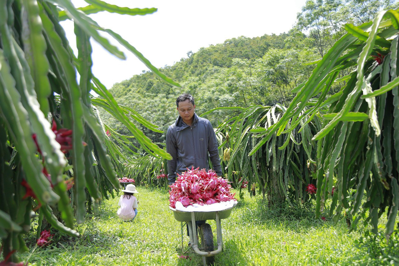 lao cai.jpg