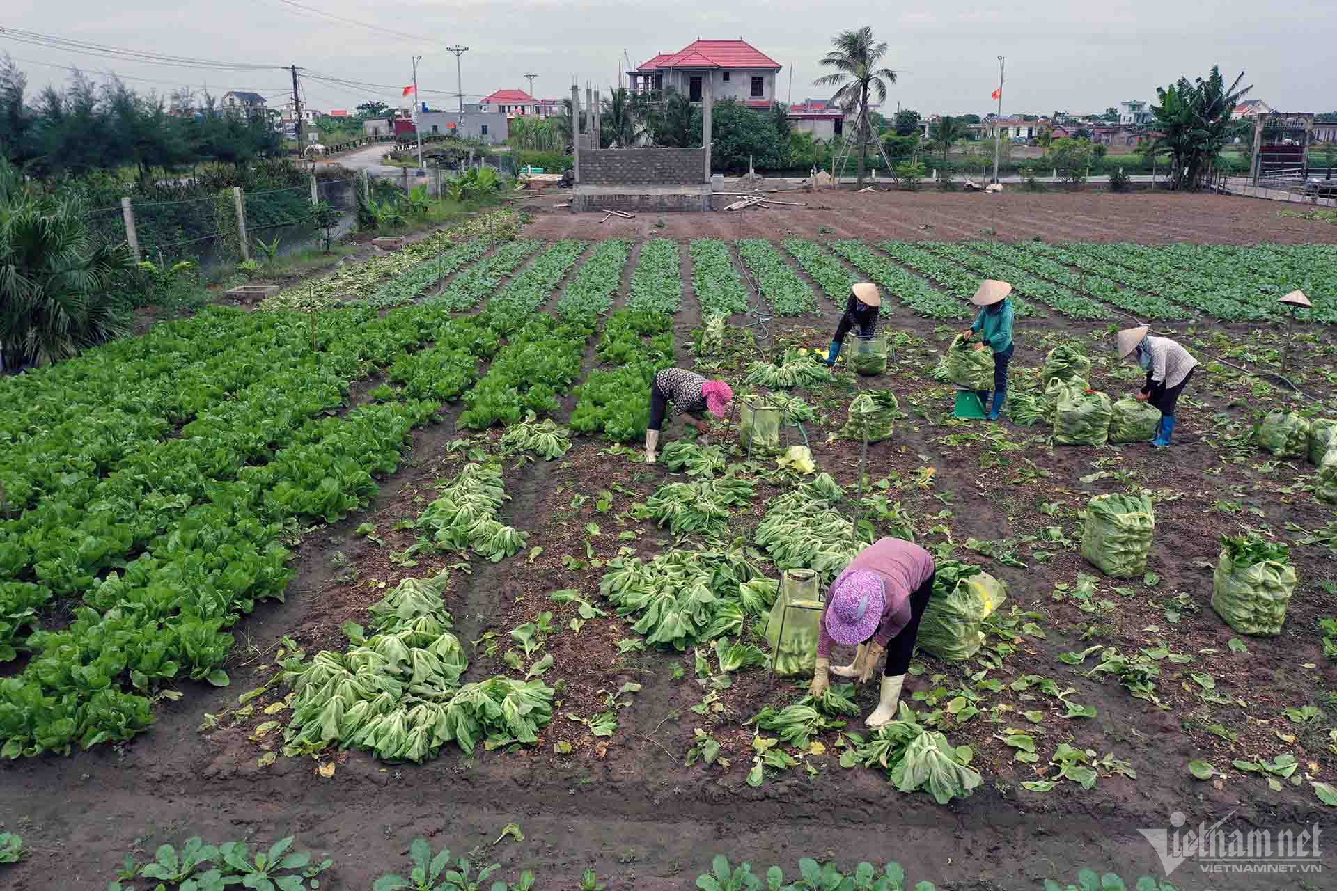 W-nong-thon-moi-nam-dinh-2-1.jpg