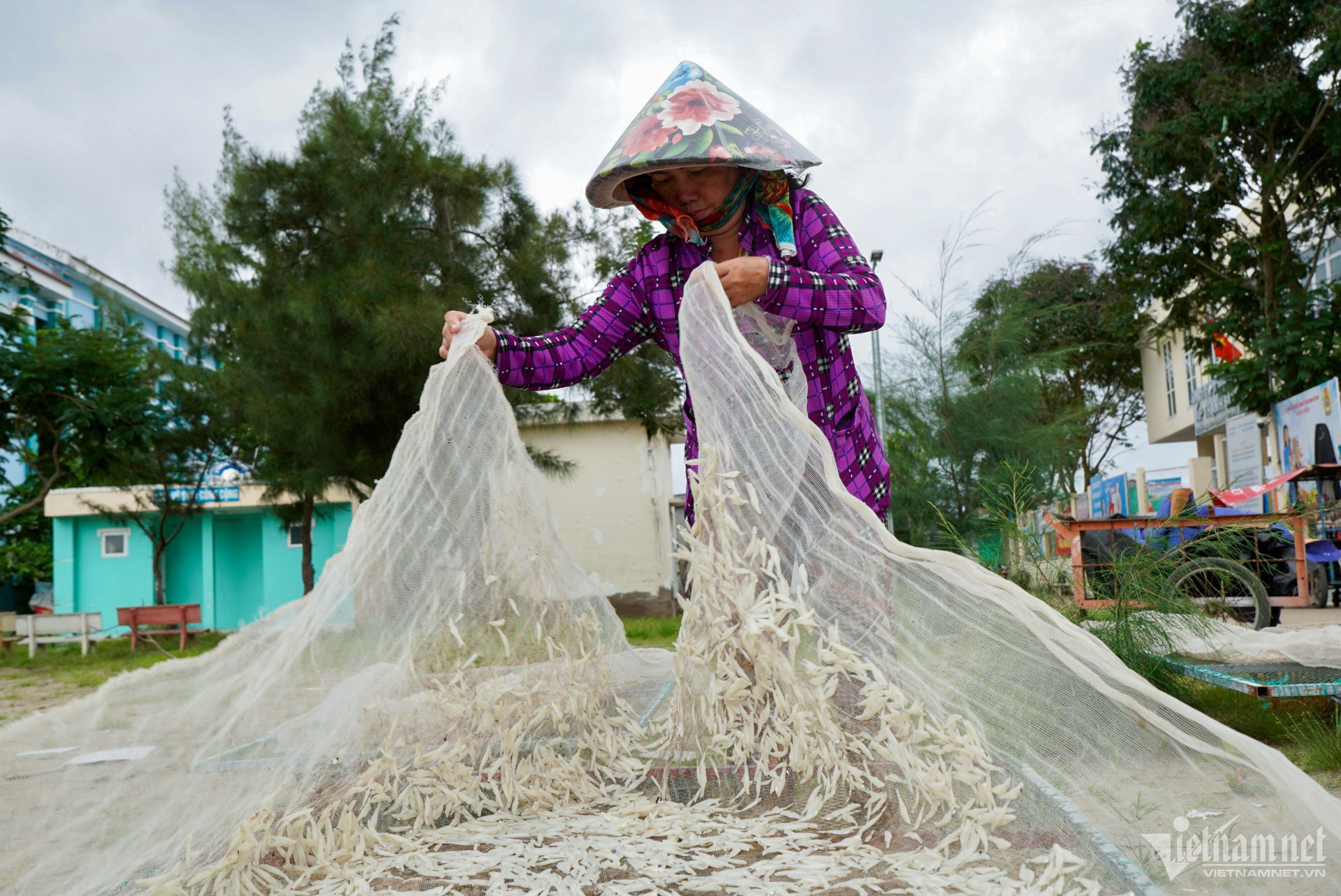 W-thanh-an-ng-hue-3-1.jpg